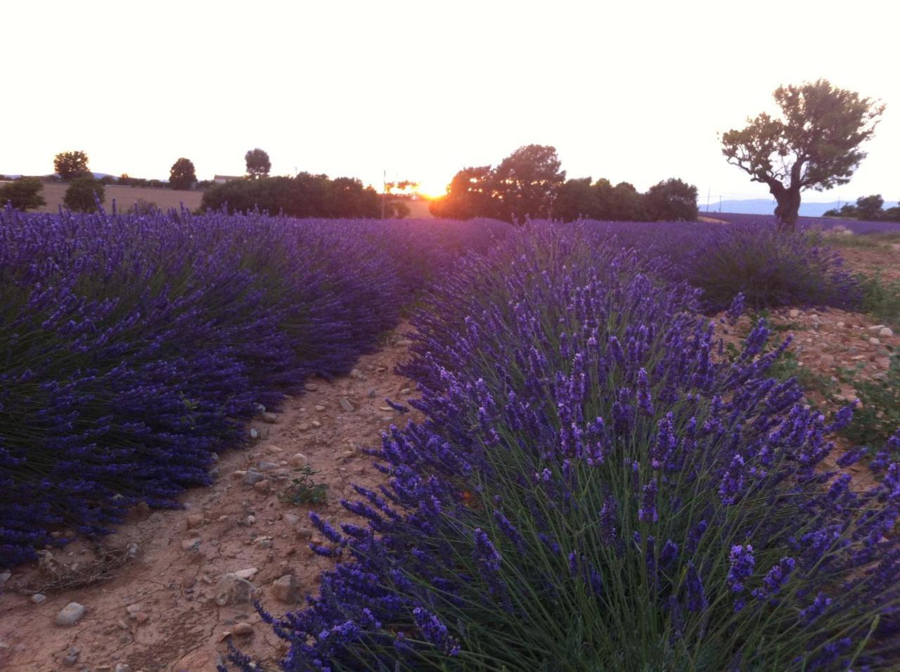 Le Petit Caboulot En Pleine Nature Hotel Vaumeilh Kültér fotó